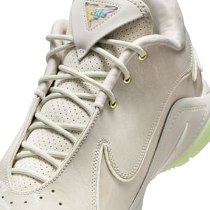 LeBron XXII "Dunkman"