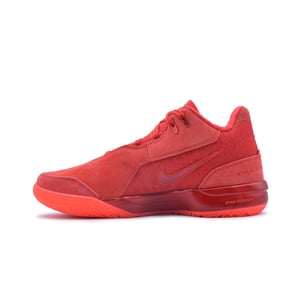 LeBron NXXT Gen AMPD "James Gang"