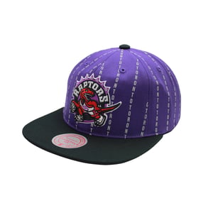 Toronto Raptors HWC Pinstripe Headstock Snapback
