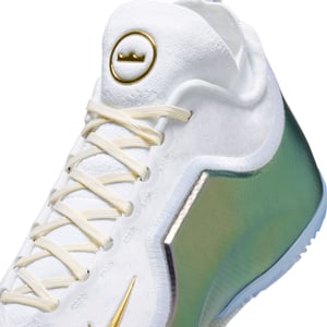 LeBron XXIII Elite "For the Record"