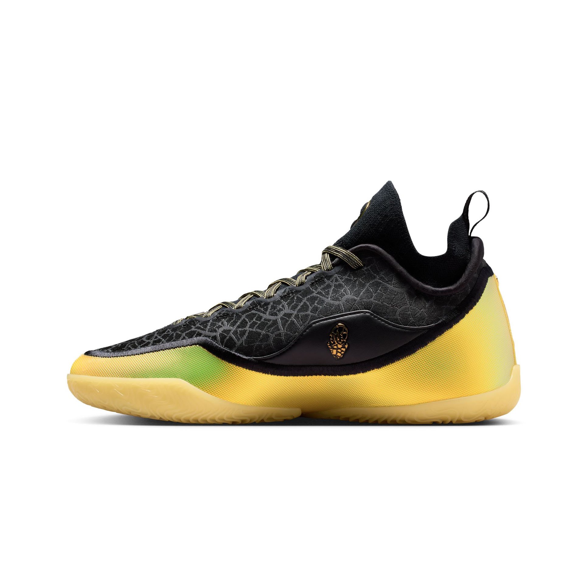 LeBron XXIII Elite "Hurt Feelings Write History"