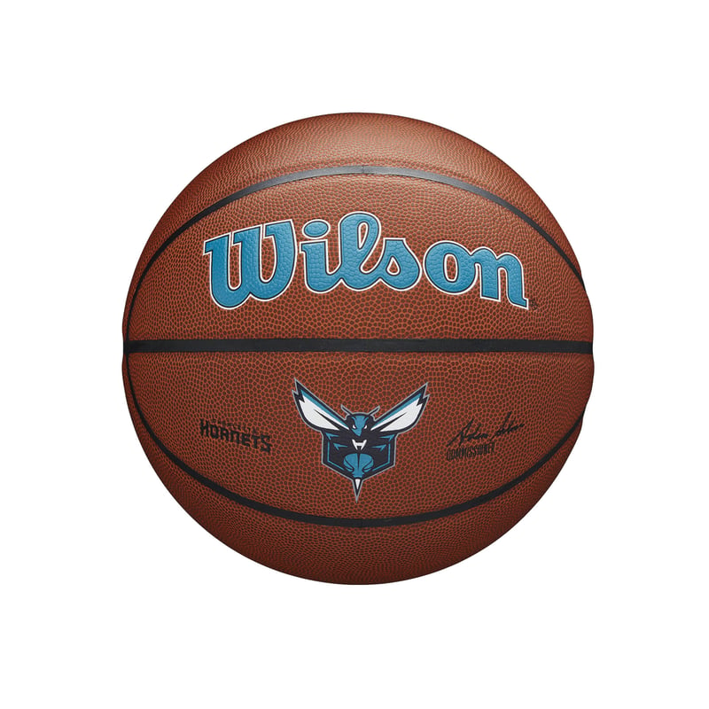 Charlotte Hornets Team Alliance Basketball