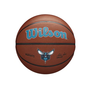 Charlotte Hornets Team Alliance Basketball