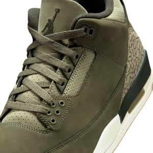 Air Jordan 3 "Family Affair"