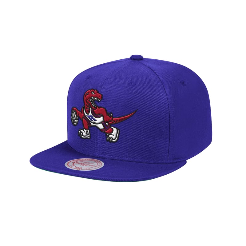 Toronto Raptors HWC Team Ground Snapback
