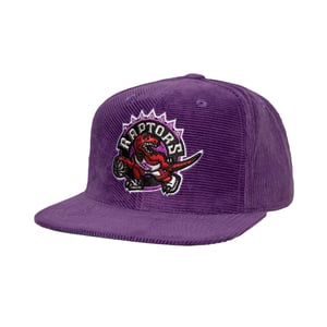 Toronto Raptors HWC All Directions Snapback