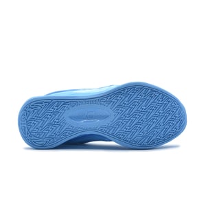 KD 19 "Blueberry Blast"