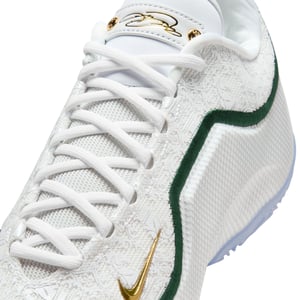 LeBron XXIII "From This Point Forward"