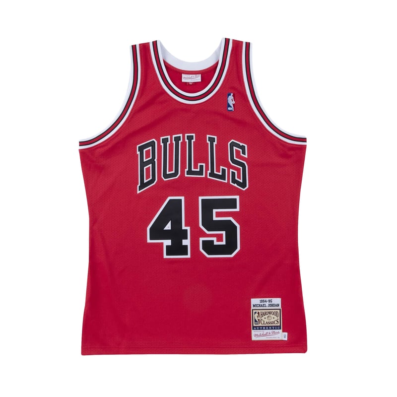 Chicago Bulls Away Authentic Jersey 1994-95 "Jordan"