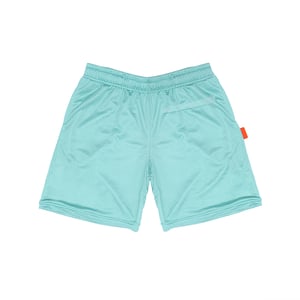 Airdom Mesh Short "Seafom"