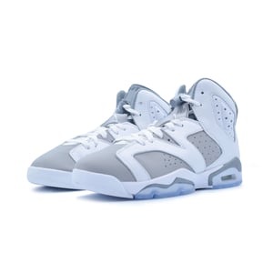 Air Jordan 6 "Cool Grey" GS