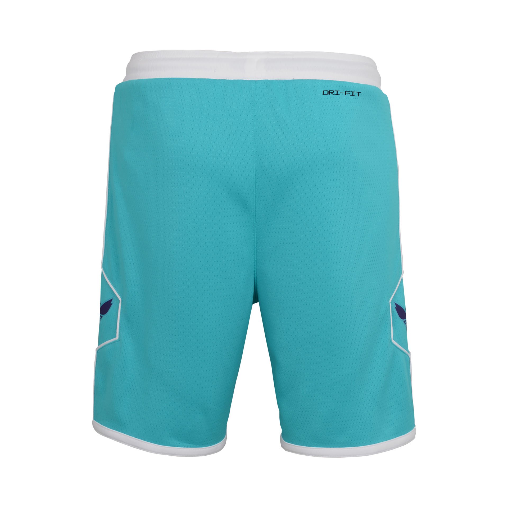 Charlotte Hornets Icon Swingman Short Kids