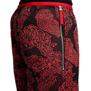 DNA 10in AOP Short "University Red"