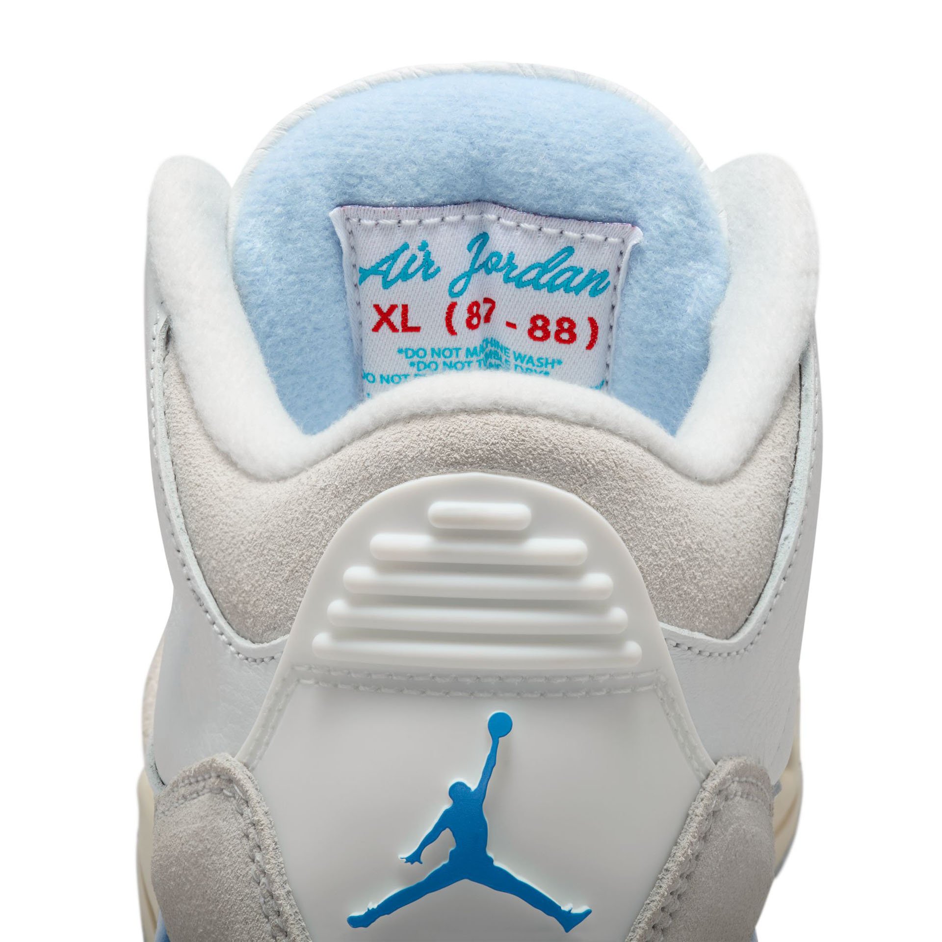 Air Jordan 3 "Lucky Shorts" GS