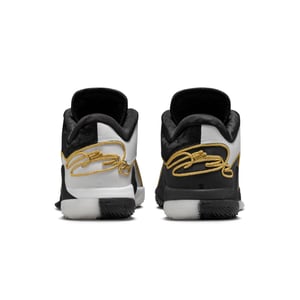 LeBron XXII “Mogul”