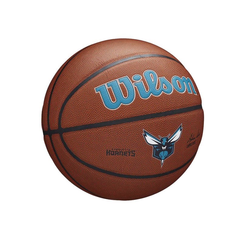 Charlotte Hornets Team Alliance Basketball 2