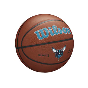 Charlotte Hornets Team Alliance Basketball