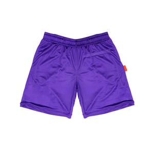 Airdom Mesh Short "Purple"