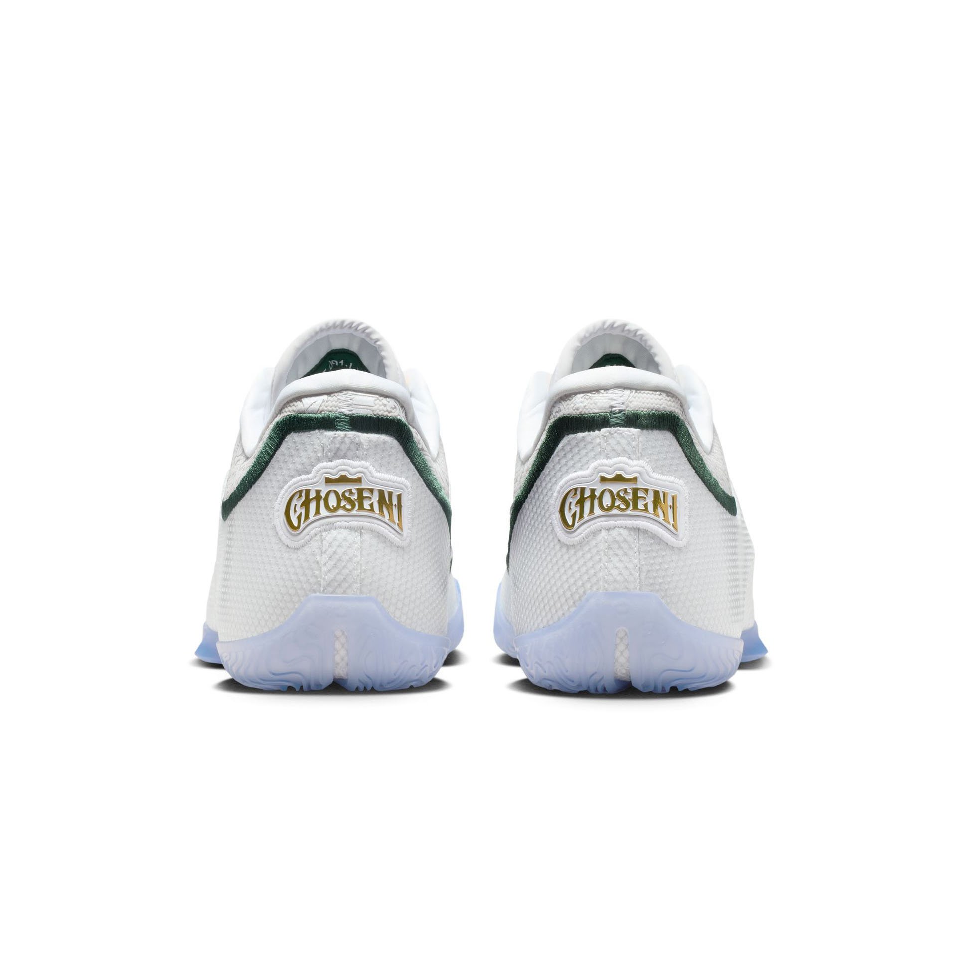 LeBron XXIII "From This Point Forward"