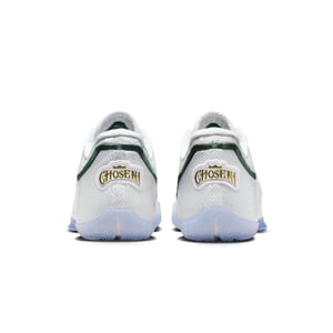 LeBron XXIII "From This Point Forward"