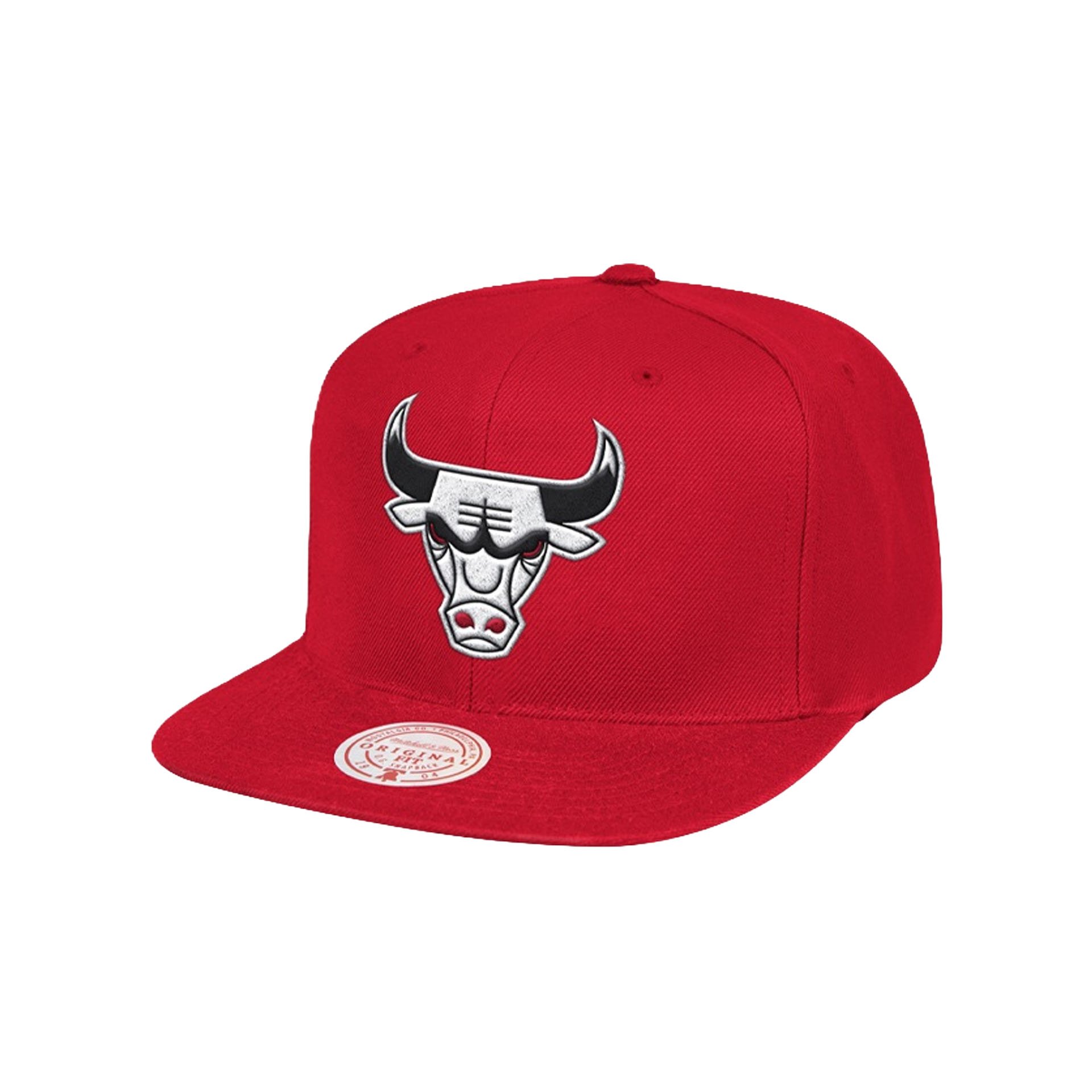 Chicago Bulls HWC Team Ground Snapback