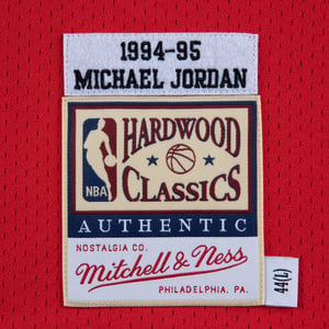 Chicago Bulls Away Authentic Jersey 1994-95 "Jordan"