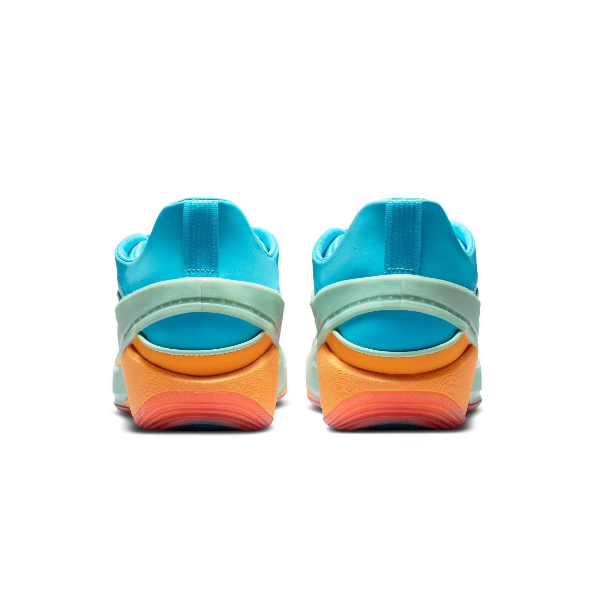 Luka 5 "Oceanside"