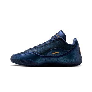 LeBron XXIII Best In Class "Out for Redemption"