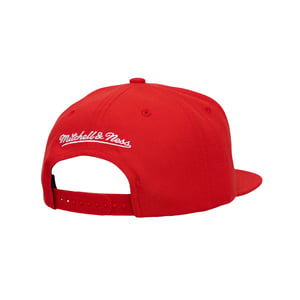 Chicago Bulls Head Coach Pro Snapback