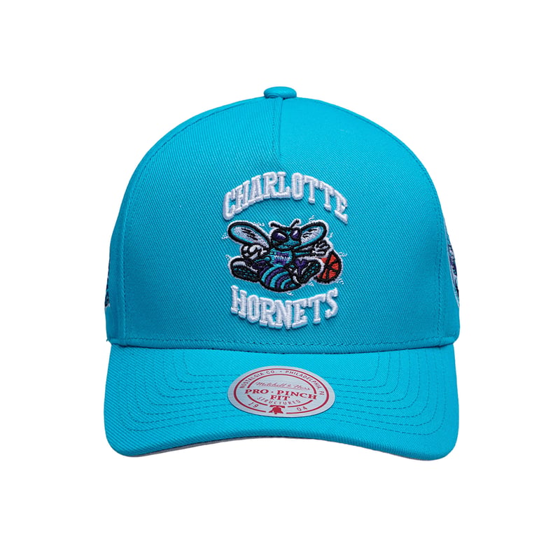 Charlotte Hornets HWC Double Clutch Pro Snapback