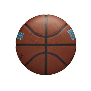 Charlotte Hornets Team Alliance Basketball