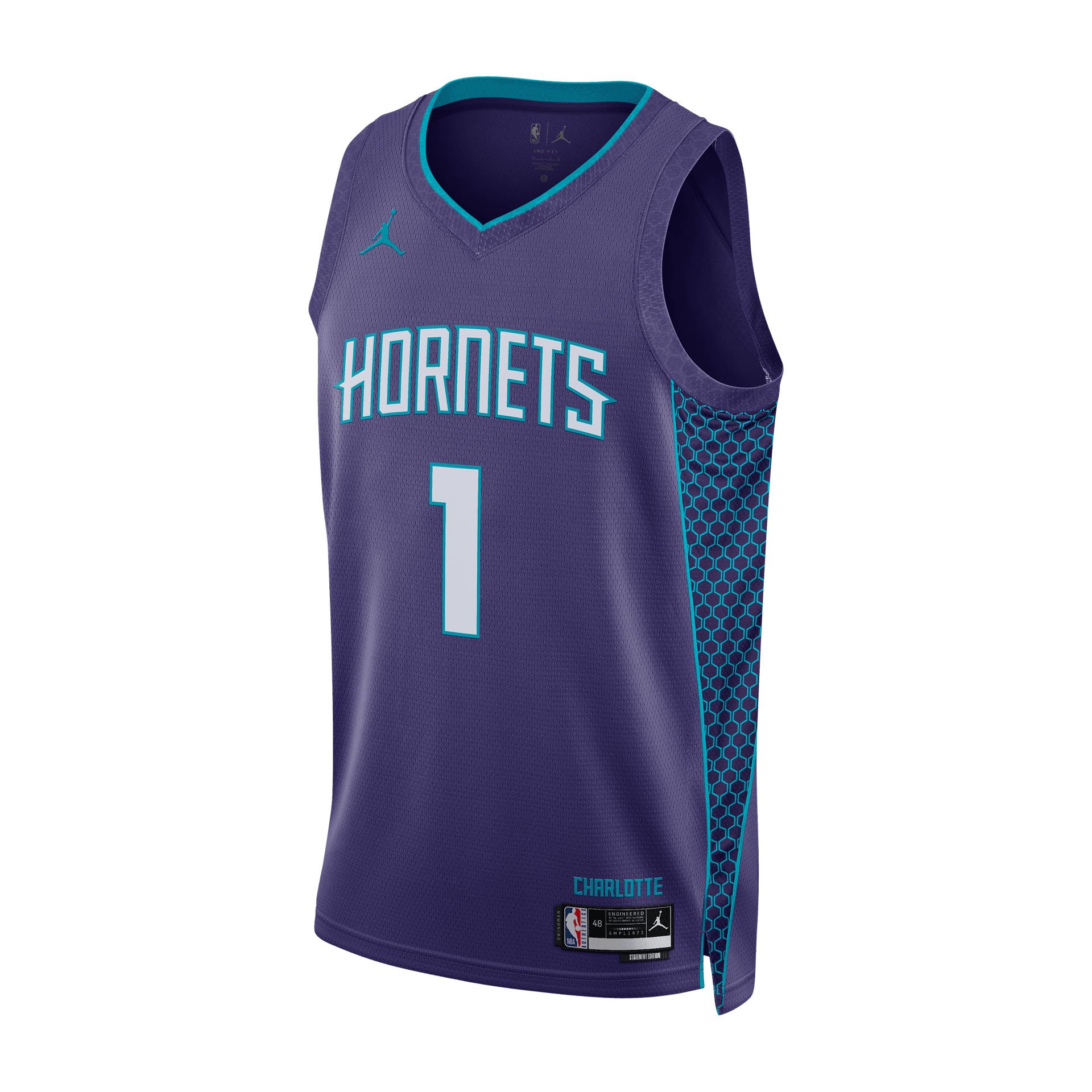Charlotte Hornets Statement Swingman Jersey "Ball"