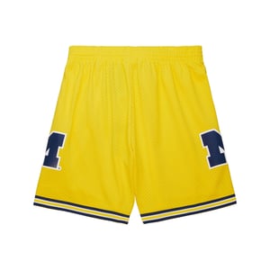 University of Michigan 1991 Swingman Short