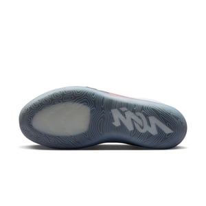 Zion 4 "Flight"