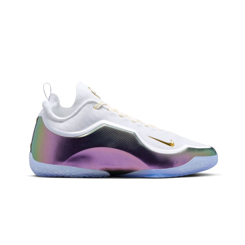 LeBron XXIII Elite "For the Record"