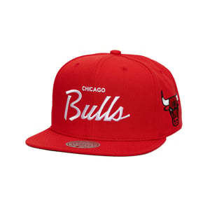 Chicago Bulls Head Coach Pro Snapback