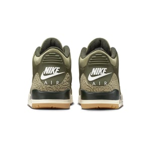 Air Jordan 3 "Family Affair"