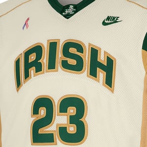St. Vincent St. Mary LeBron Jersey