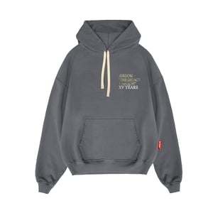 Airdom 15th Anniversary Iron Hoodie
