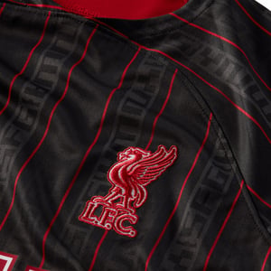 WMNS Liverpool FX X Lebron SS Jersey