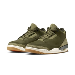 Air Jordan 3 "Family Affair"