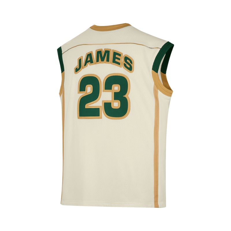 St. Vincent St. Mary LeBron Jersey 2
