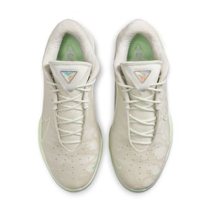 LeBron XXII "Dunkman"